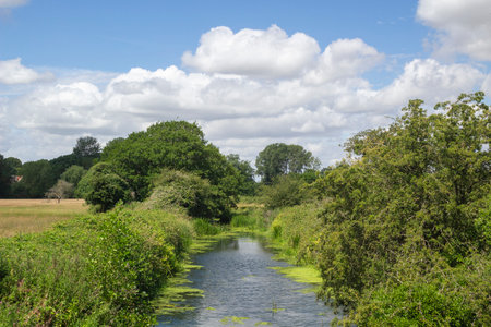 View along the River Blyth, Wenhaston, Suffolk, England, United Kingdomの写真素材