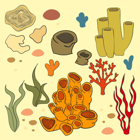 Vector isolated corals and algae, vector illustrationのイラスト素材