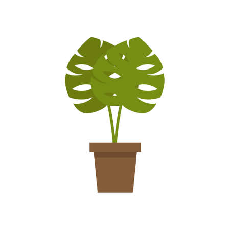 monstera plant icon, vector color illustrationのイラスト素材