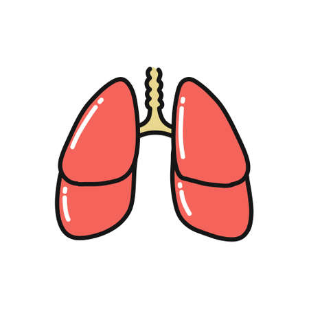 human lungs doodle icon, vector color illustrationのイラスト素材