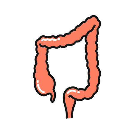 human colon doodle icon, vector color illustration