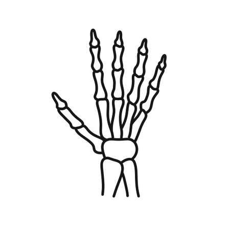 hand skeleton doodle icon, vector line illustrationのイラスト素材