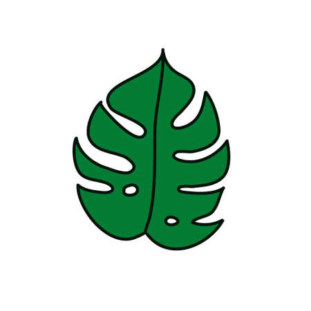 monstera leaf doodle icon, vector color illustrationのイラスト素材