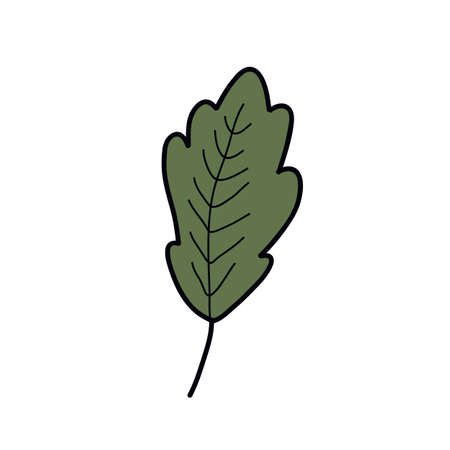 green leaf doodle icon, vector color illistrationのイラスト素材