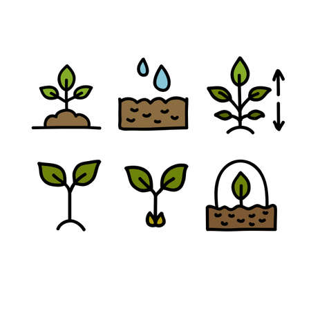 planting doodle icons, nature, vector color illistrationのイラスト素材