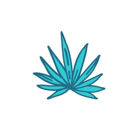 agave doodle color icon, vector color illistrationのイラスト素材