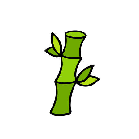 bamboo doodle icon. isolated on white background, vector color illustrationのイラスト素材