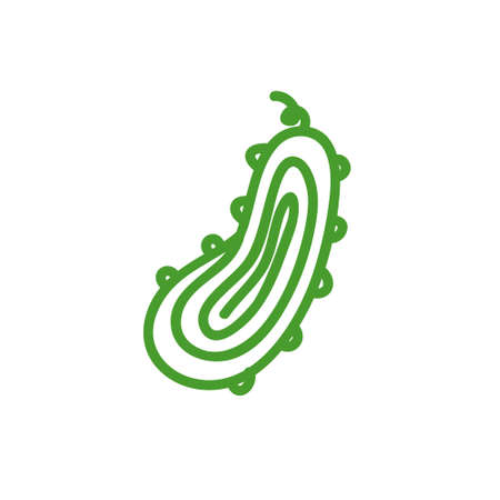 cucumber doodle icon, vector color illustrationのイラスト素材
