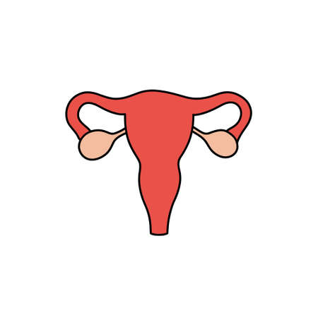 uterus doodle icon, vector color illustrationのイラスト素材