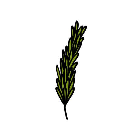 rosemary doodle icon, vector color illustrationのイラスト素材
