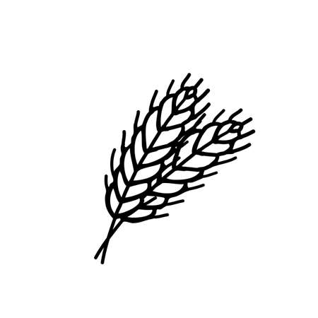 wheat doodle line icon, vector color illustrationのイラスト素材