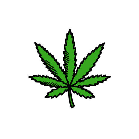 hemp leaf doodle icon, vector illustrationのイラスト素材