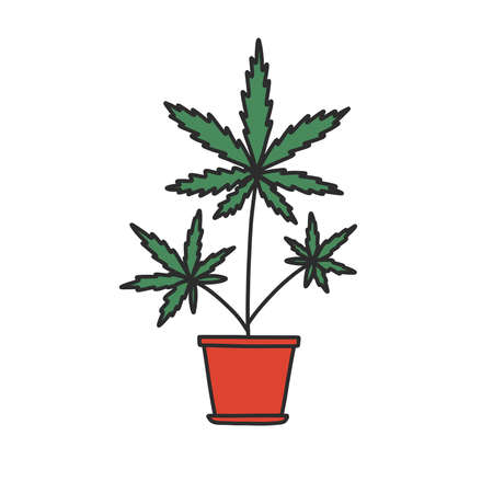 marijuana plant doodle icon, vector illustrationのイラスト素材