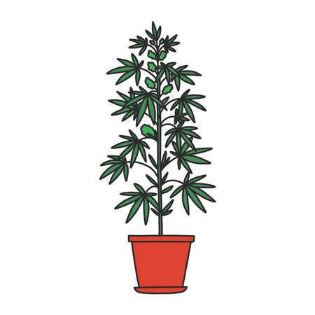 marijuana plant doodle icon, vector illustrationのイラスト素材