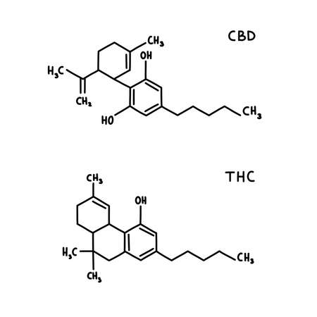 cbd and thc chemical formula doodle icon, vector illustrationのイラスト素材