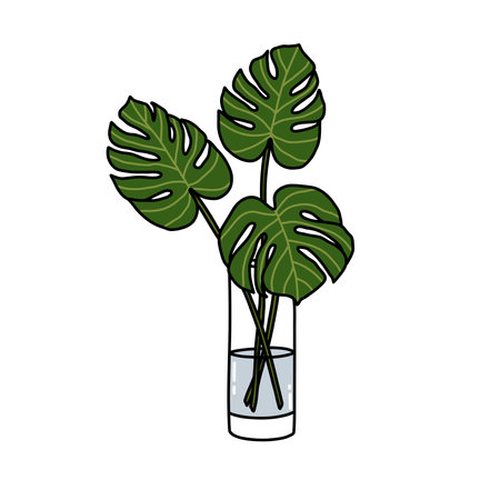 Monstera plant doodle icon, vector illustrationのイラスト素材