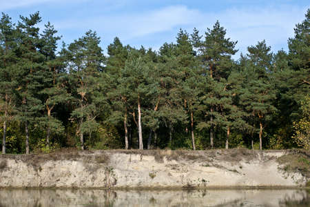 Autumn River is a beautiful screensaver on your gadget.の写真素材