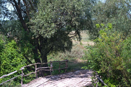 A beautiful wooden bridgeの写真素材
