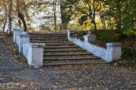 A ladder in autumn covered with yellow fallen leaves.の写真素材