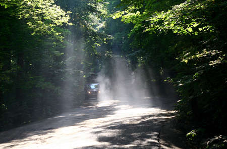 The rays of the sun beautifully make their way through the leaves and fall on the road.の写真素材