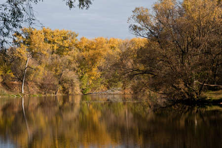 Autumn River is a beautiful screensaver on your gadget.の写真素材