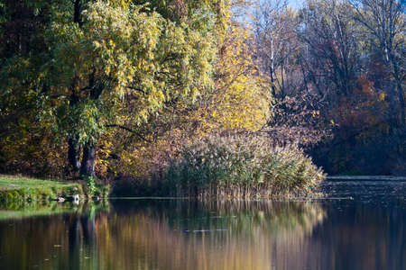 Autumn Rechka Psel - will be an excellent gadget screensaverの写真素材