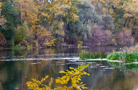 Autumn River is a beautiful screensaver on your gadget.の写真素材