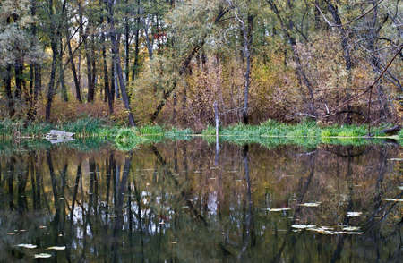 Autumn River is a beautiful screensaver on your gadget.の写真素材