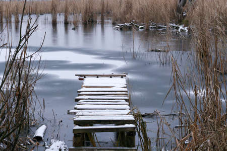 On the shore of the reservoir in early winter - a good background for the gadget.の写真素材
