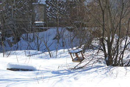 The ruined house and a birdhouse are a picture for philosophical reflections.の写真素材