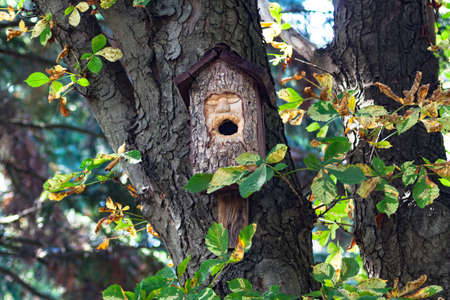 Beautiful birdhouse in a beautiful forestの写真素材