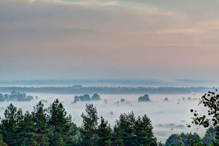 Morning mist and sunrise.の写真素材