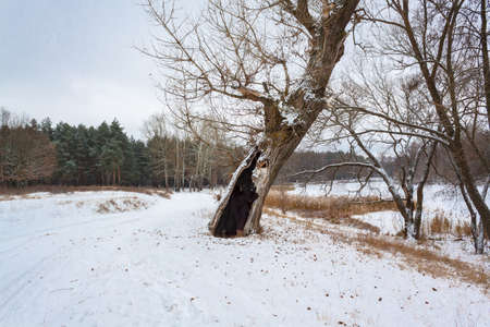 Woman in black against a black hollow.の写真素材