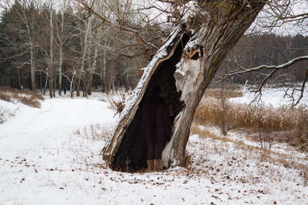 Woman in black against a black hollow.の写真素材