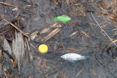 Dead fish in frozen water.の写真素材