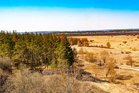 Forest and steppe in early spring.の写真素材