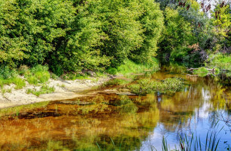 The Psel river in the autumn.の写真素材