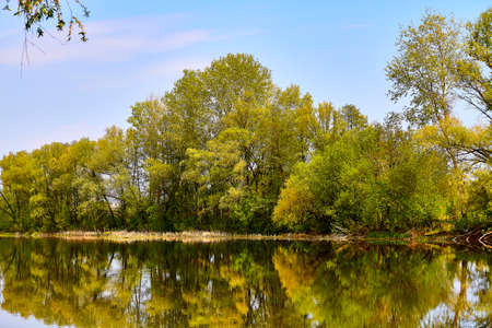 The Psel river in the autumnの写真素材