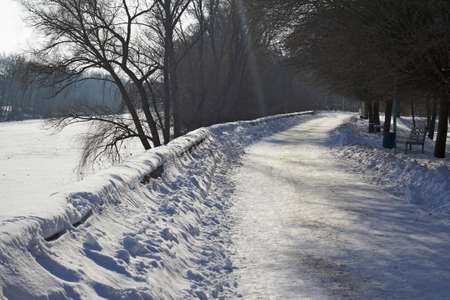 Snowy road in the winter forest.の写真素材