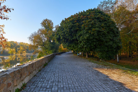 Autumn, morning roadの写真素材
