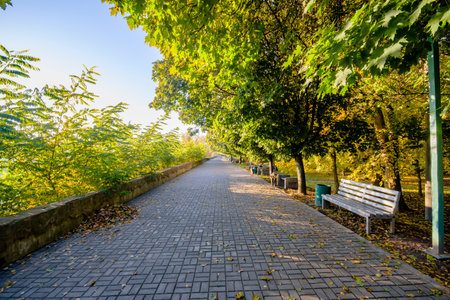 Autumn, morning road