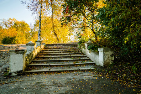 A ladder in autumn covered with yellow fallen leaves - a shiny background.の写真素材