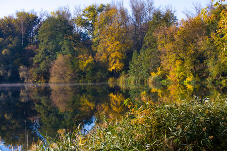 Autumn Rechka Psel - will be an excellent gadget screensaverの写真素材