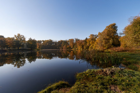 Autumn Rechka Psel - will be an excellent gadget screensaverの写真素材