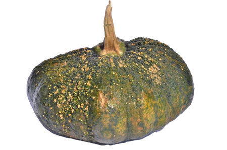 halloween pumpkinの写真素材