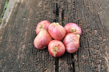 shallots on wood background