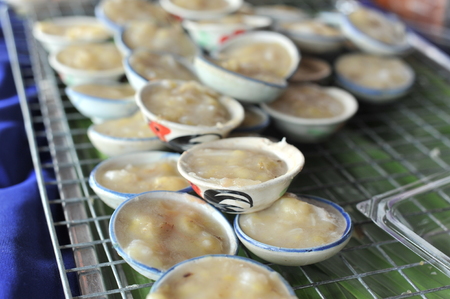 Cup coconut milkの写真素材