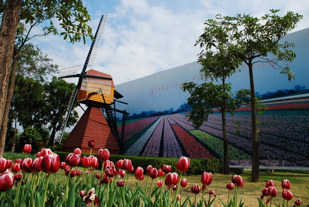 Royal Park Rajapruek in chiangmai thailandのeditorial素材
