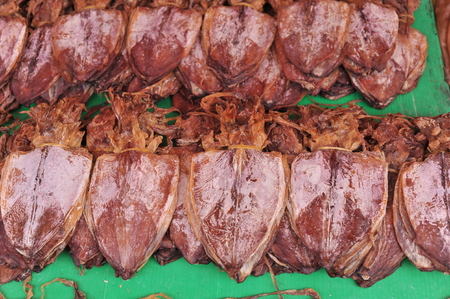 Squidの写真素材