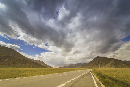 asphalt road beside of the grasslandの写真素材